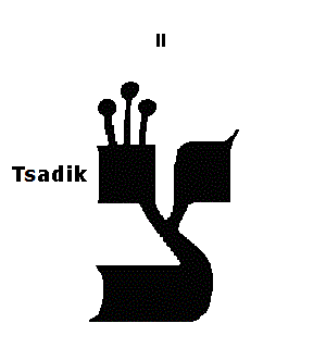 The Hebrew Letter Tsadik
